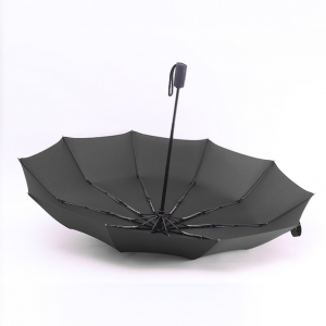 10-bone automatic umbrella 23inches