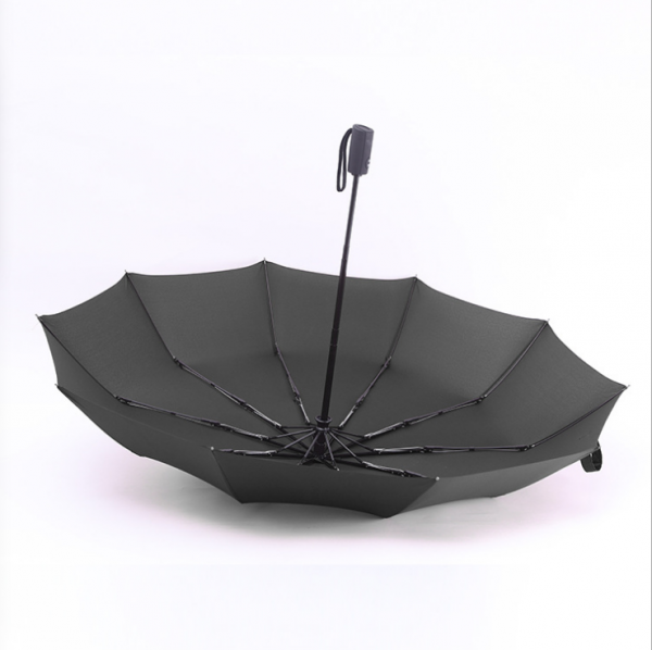 10-bone automatic umbrella 23inches - Image 2