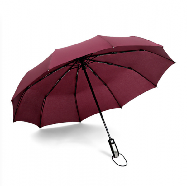 10-bone automatic umbrella 23inches - Image 4