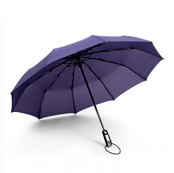 10-bone automatic umbrella 23inches - Image 6