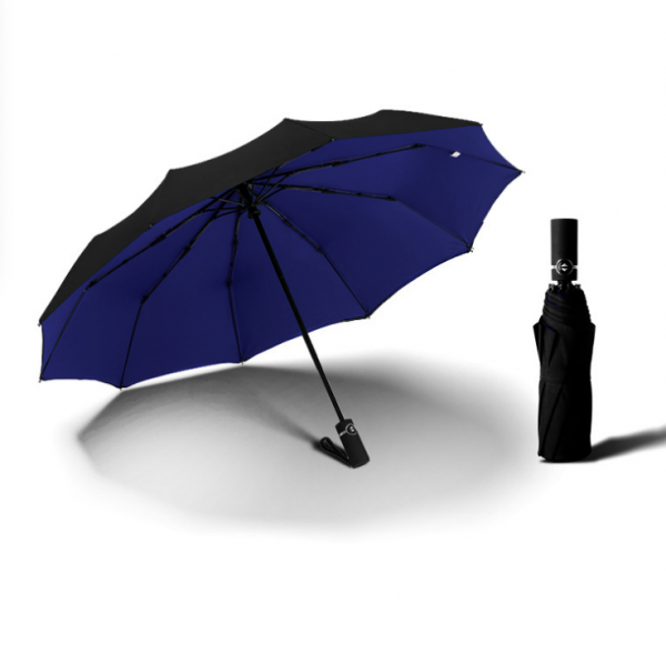 10-bone automatic wind-resistant double-layer umbrella 23inches