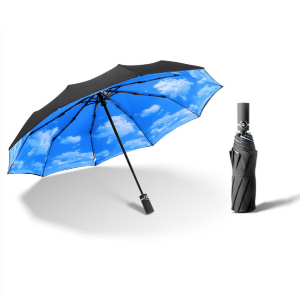 10-bone automatic wind-resistant double-layer umbrella 23inches - Image 9