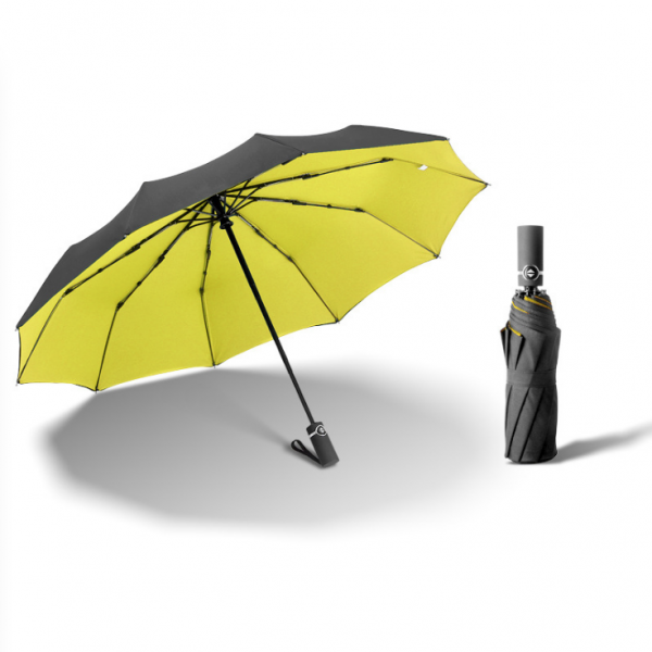 10-bone automatic wind-resistant double-layer umbrella 23inches - Image 6