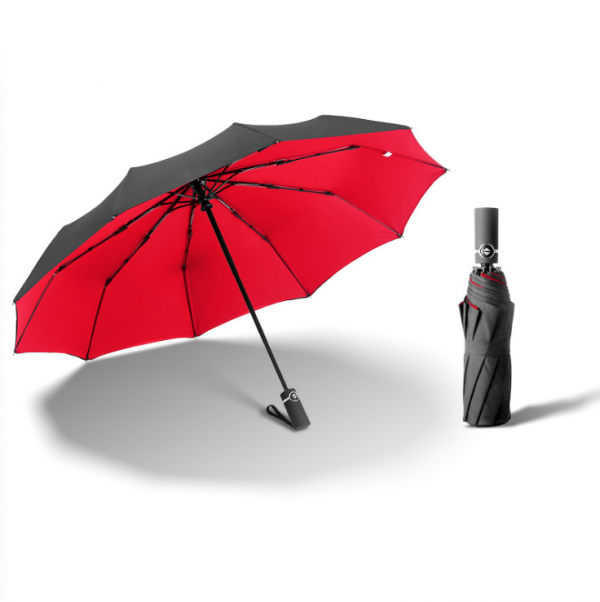 10-bone automatic wind-resistant double-layer umbrella 23inches - Image 5