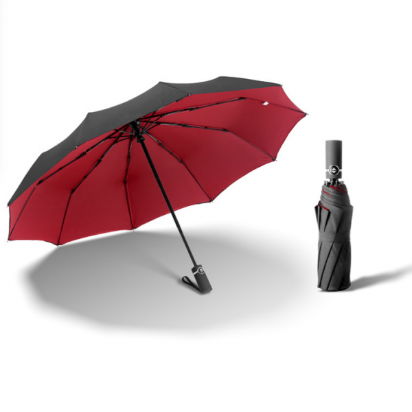 10-bone automatic wind-resistant double-layer umbrella 23inches - Image 4