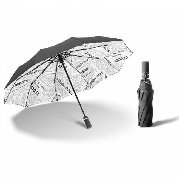 10-bone automatic wind-resistant double-layer umbrella 23inches - Image 3