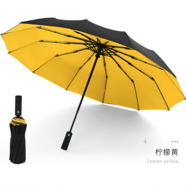 12-bone automatic wind-resistant double-layer umbrella 23inches - Image 7