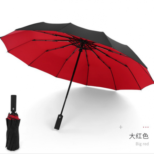 12-bone automatic wind-resistant double-layer umbrella 23inches - Image 4