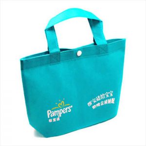 Non Woven Bag 28.5 x20.5x6.5cm / customized size