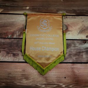 Pennants Customization